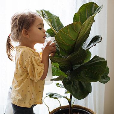 little girl playing with a house plant